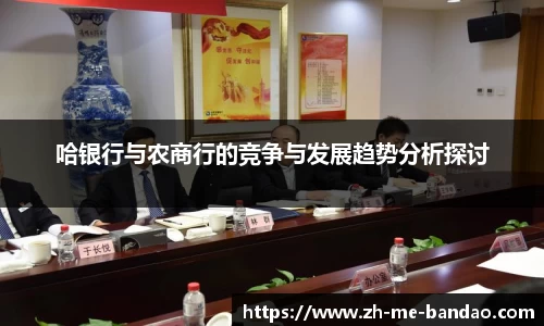 哈银行与农商行的竞争与发展趋势分析探讨