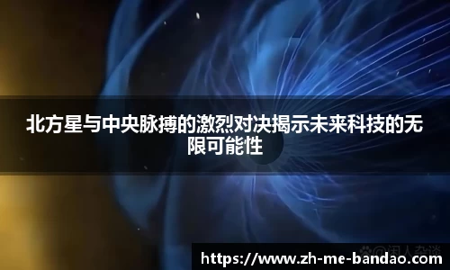 半岛体育APP
