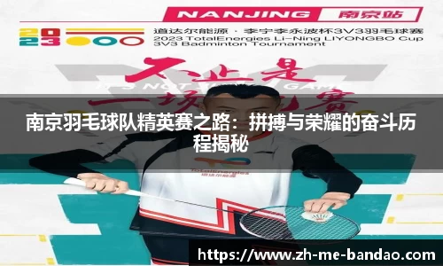 南京羽毛球队精英赛之路：拼搏与荣耀的奋斗历程揭秘