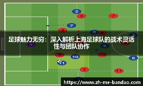 足球魅力无穷：深入解析上海足球队的战术灵活性与团队协作